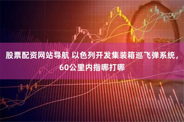 股票配资网站导航 以色列开发集装箱巡飞弹系统，60公里内指哪打哪